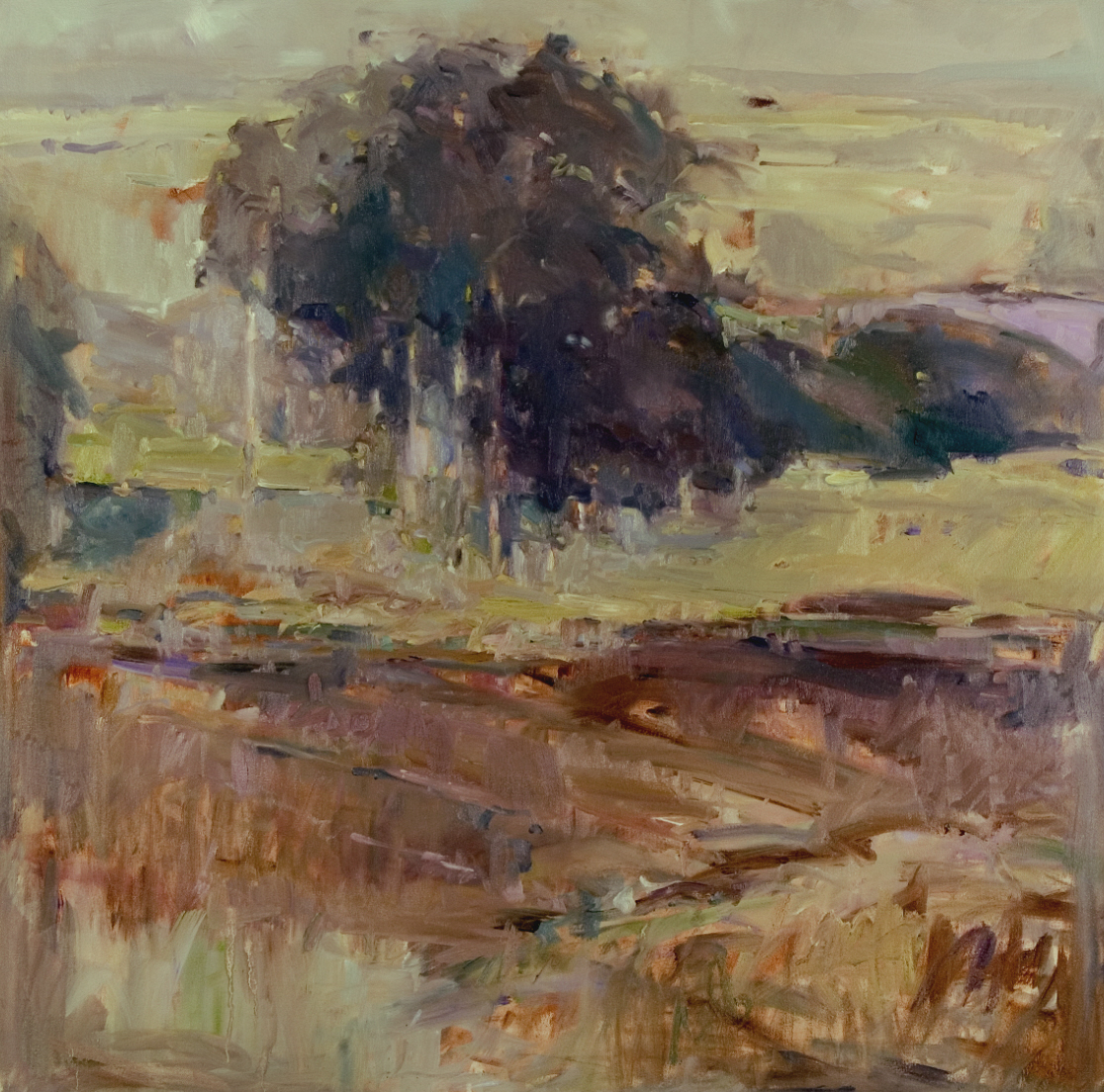 oil,   30